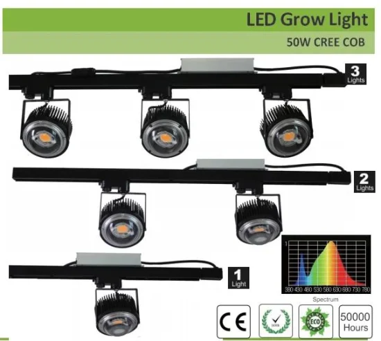 Fabbrica 50W 100W Crees COB Cxb3590 LED coltiva la luce 3000K spettro completo per piante da serra LED coltiva la luce